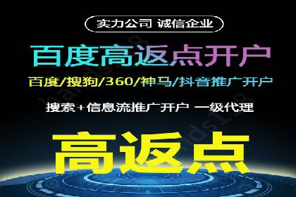 案例分析：成功SEM托管策略全解析